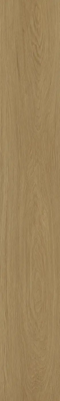 Palm Coast plank texture close-up