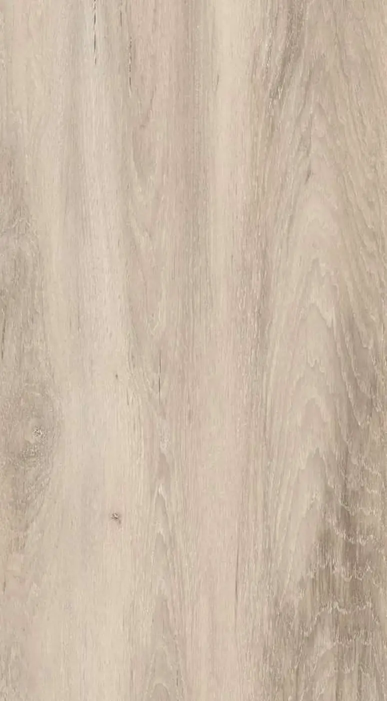 Birchwood plank texture close-up
