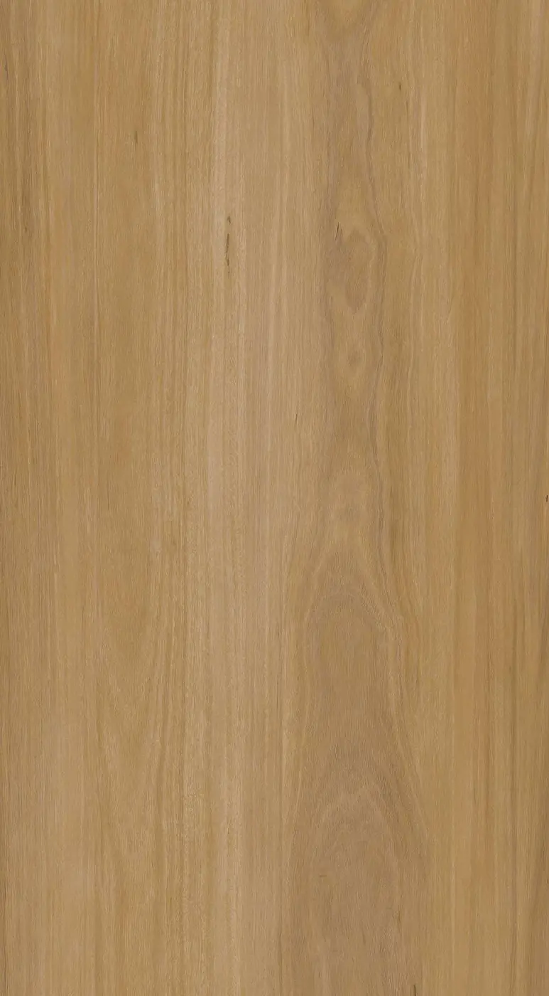 Chestnut plank texture close-up