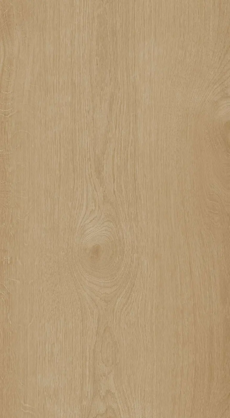 Sunlit Pine plank texture close-up