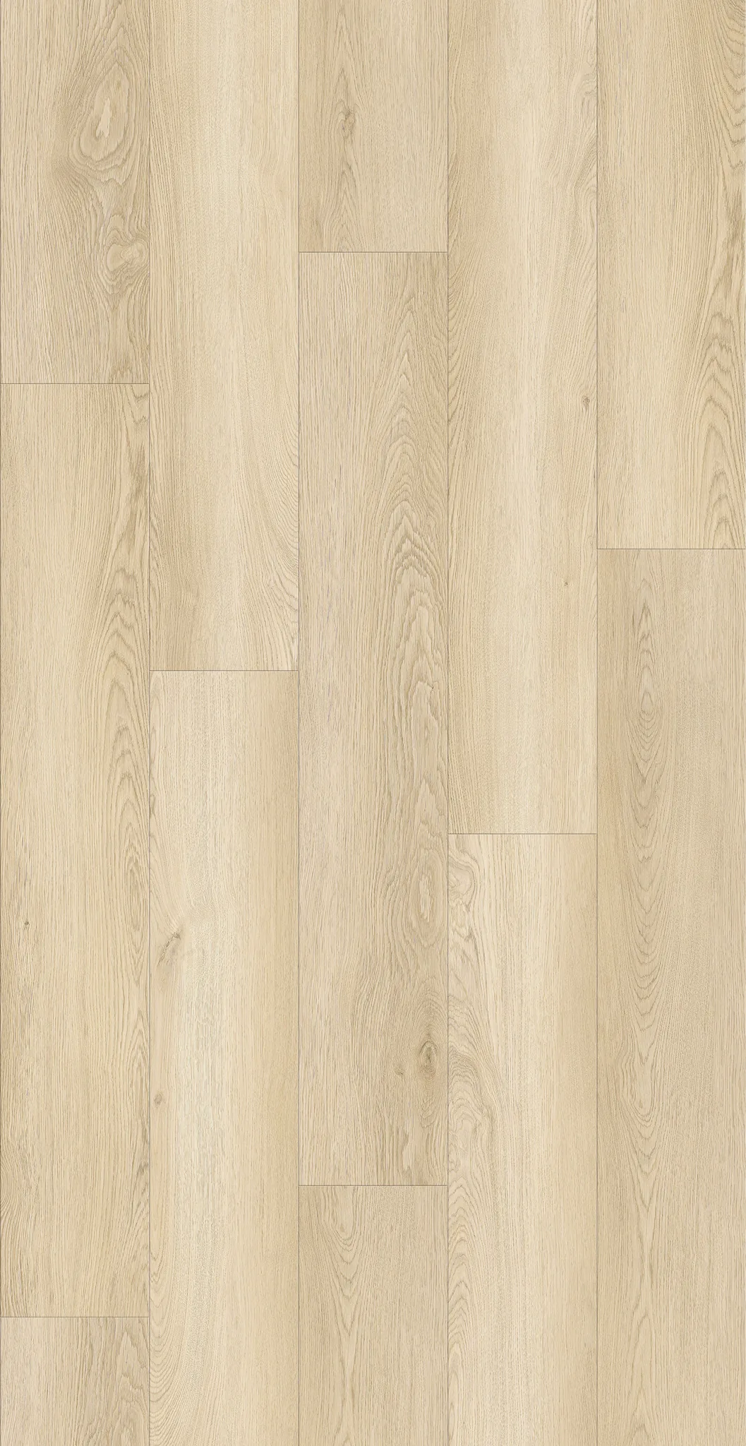 Blonde Oak plank texture close-up