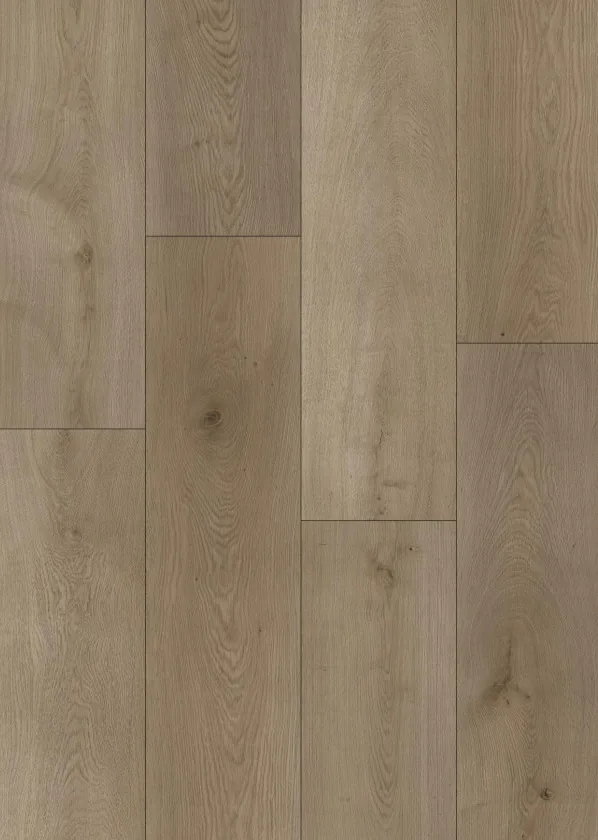 Weathered Oak plank texture close-up